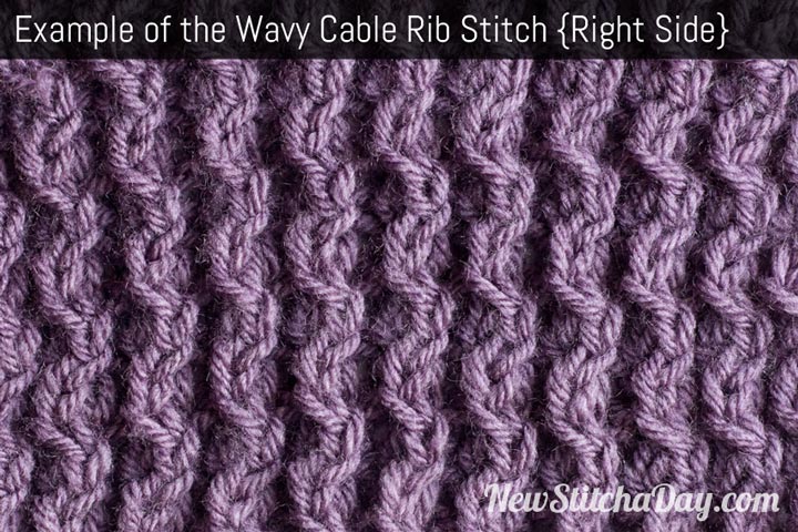 Example of the Wavy Cable Rib Stitch Right Side