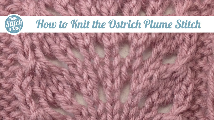 How to Knit the Ostrich Plume Stitch