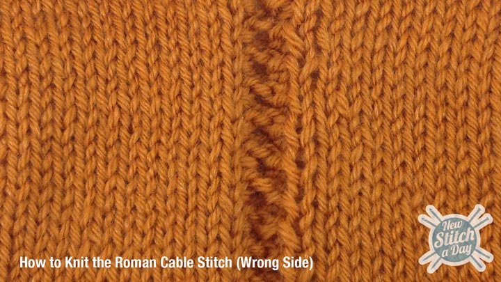 Roman Cable Stitch Wrong Side