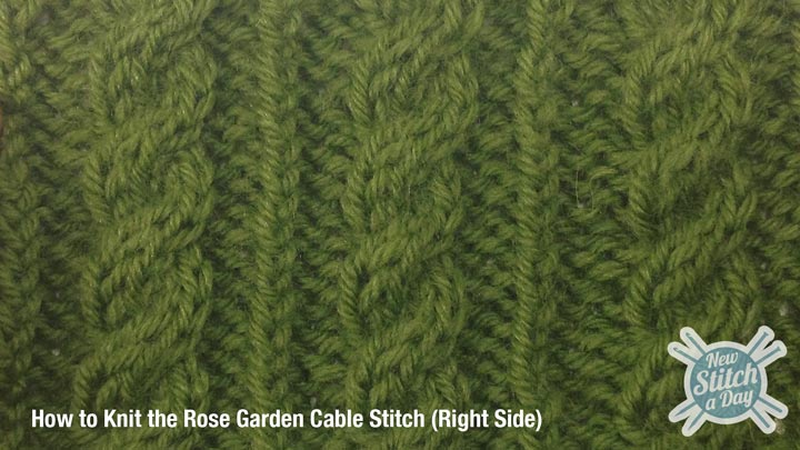 Example of the Rose Garden Cable Stitch (Right Side)