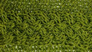 Tight Braid Cable Stitch Knitting Stitch Pattern