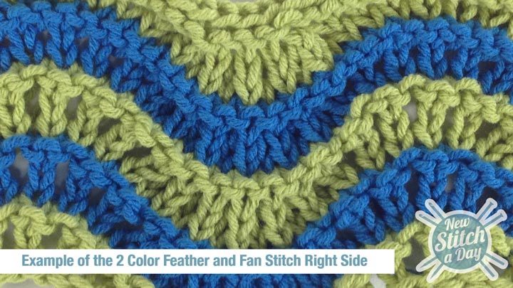Example of the 2 Color Feather and Fan Stitch Right Side