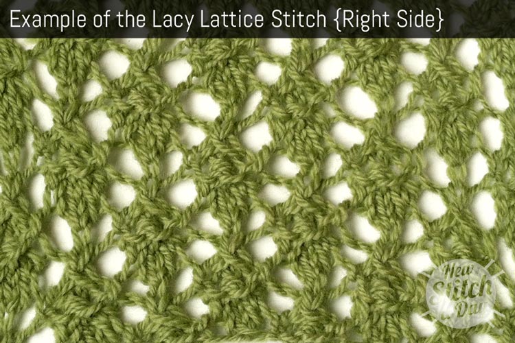 Example of the Lacy Lattice Stitch {Right Side}