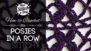 How to Crochet the Posies in a Row Stitch