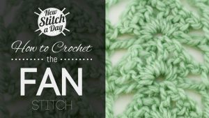 How to Crochet the Fan Stitch
