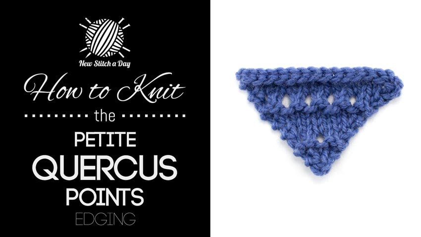 How to Knit the Petite Quercus Points Edging