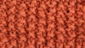 Seed Rib Stitch Knitting Stitch Pattern
