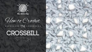 How to Crochet the Crossbill Stitch