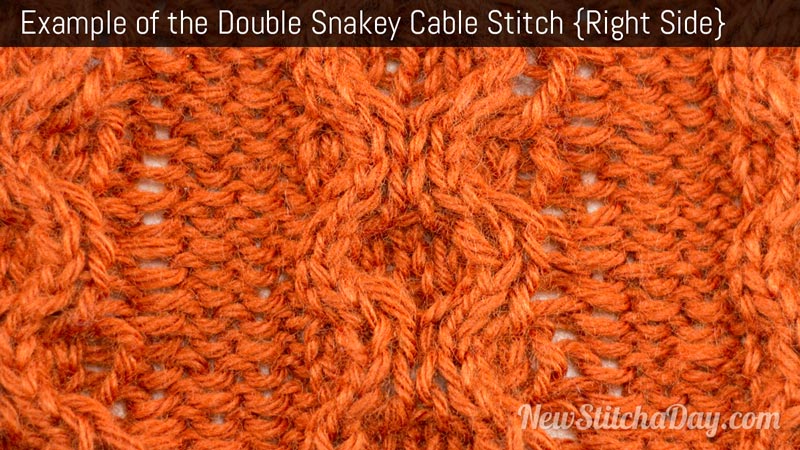 Example of the Double Snakey Cable Stitch. (Right Side)