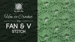 How to Crochet the Fan & V Stitch