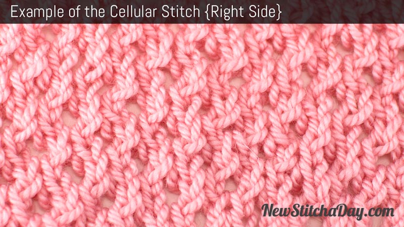 Example of the Cellular Stitch. (Right Side)