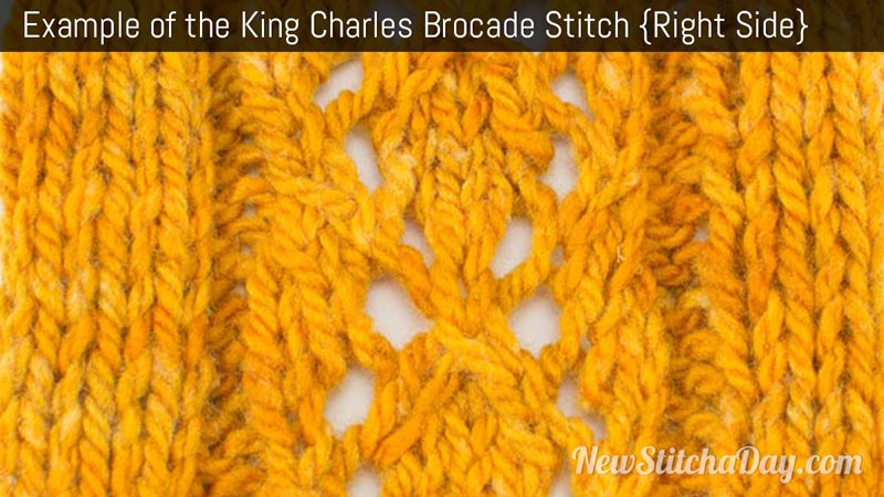 Example of the King Charles Brocade Stitch. (Right Side)