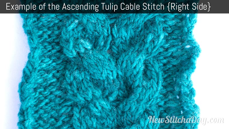 Example of the Ascending Tulip Cable Stitch. (Right Side)