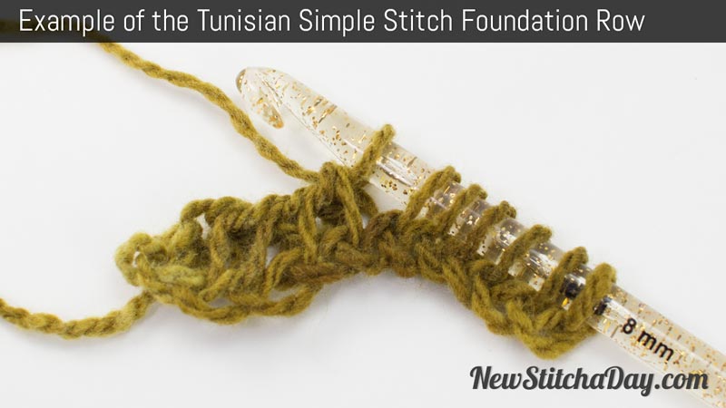 How to Crochet the Tunisian Simple Stitch Foundation Row.