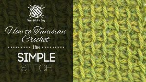 How to Tunisian Crochet the Tunisian Simple Stitch