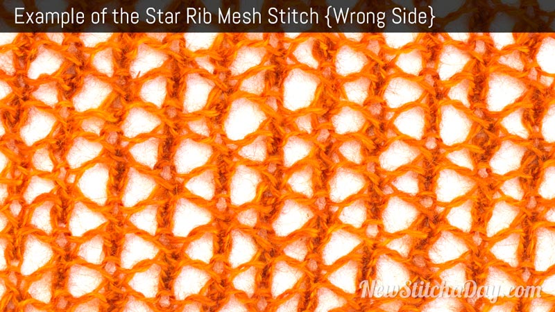 Example of the Star Rib Mesh Stitch. (Wrong Side)