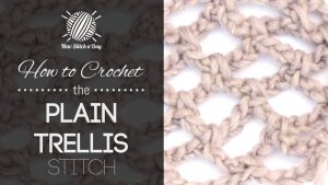 How to Crochet the Plain Trellis Stitch