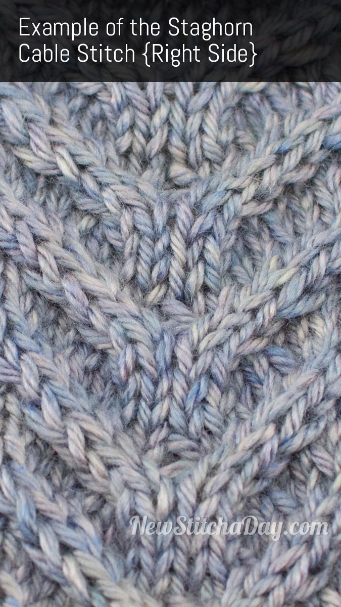 Example of the Staghorn Cable Stitch. (Right Side)